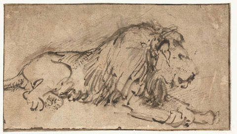 Recumbent Lion, Rembrandt van Rijn, c. 1660 Canvas Print