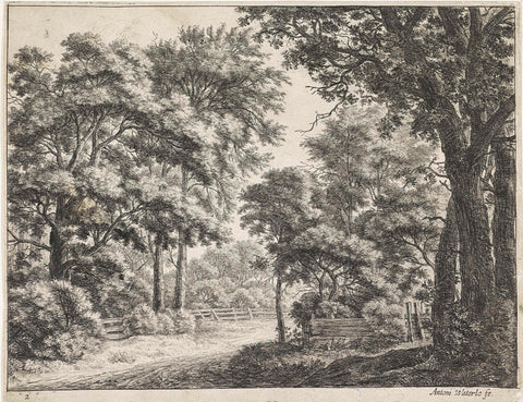 Large trees on either side of a path, Anthonie Waterloo, 1630 - 1663 Canvas Print