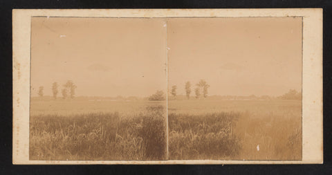 Rice fields, Robert Julius Boers, 1900 - 1922 Canvas Print