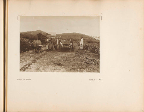 Page 107 of photo book of the General Association of Rubber Planters on the East Coast of Sumatra (AVROS), JW Meyster, c. 1924 - c. 1925 Canvas Print