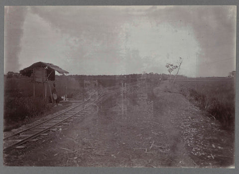 Spoor langs suikerriet, anonymous, c. 1900 - 1919 Canvas Print