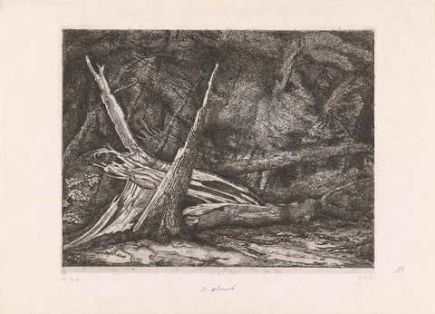 Felled trees after a storm, Jacobus Ludovicus Cornet, 1853 - 1882 Canvas Print