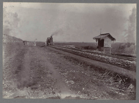 Track along sugar cane fields, anonymous, c. 1900 - 1919 Canvas Print