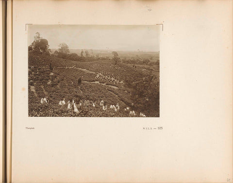 Page 105 of photo book of the General Association of Rubber Planters on the East Coast of Sumatra (AVROS), JW Meyster, c. 1924 - c. 1925 Canvas Print