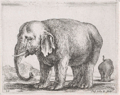 Two elephants, Stefano della Bella, 1620 - 1664 Canvas Print