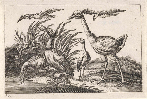 Waterfowl, Wenceslaus Hollar, 1654 - 1712 Canvas Print