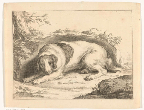 Spaniel, Frederick Bloemaert, 1740 Canvas Print