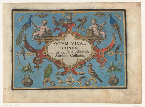 Title page for: Avium vivae Icones (...), Adriaen Collaert, 1570 - 1616 Canvas Print