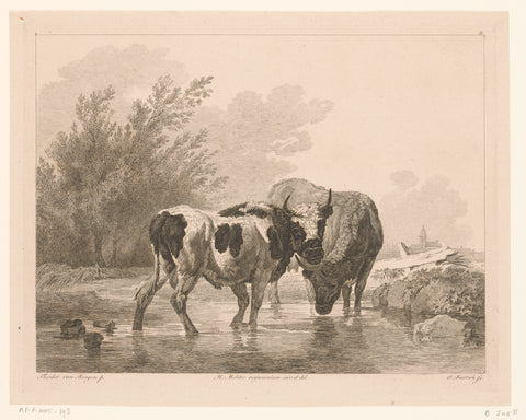 Two cows in a brook, Adam von Bartsch, 1809 Canvas Print