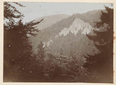 View of a wooded area against a mountainside in the Harz, Geldolph Adriaan Kessler, c. 1903 Canvas Print