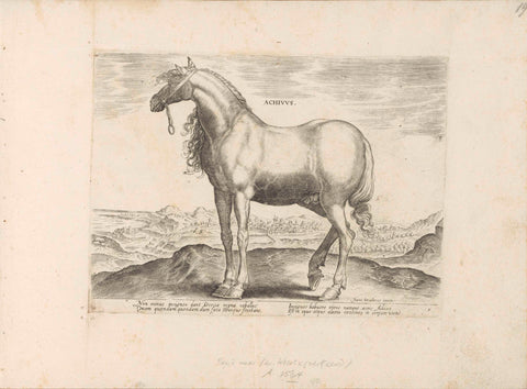 Horse from Greece, anonymous, 1624 - before 1648 Canvas Print