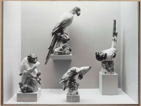 Display case with four statues of Meissen porcelain: a monkey, a macaw, a pheasant and a cockatoo, 1962 Canvas Print