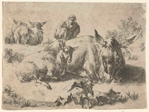 Shepherdess with Donkey and Three Sheep, Romeyn de Hooghe (attributed to), 1655 - 1667 Canvas Print