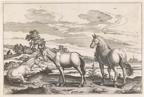 Horse and donkeys, Adriaen Collaert, 1628 - 1679 Canvas Print