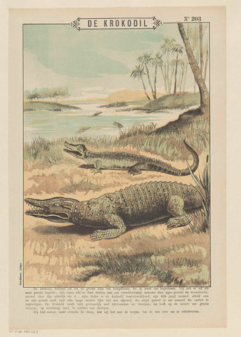 The Crocodile, Gordinne, 1894 - 1959 Canvas Print