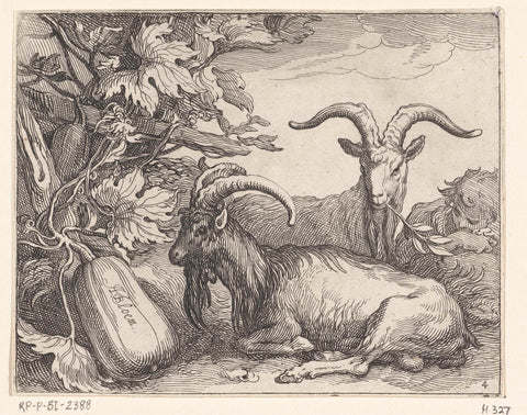 Goats and gourd, Boëtius Adamsz. Bolswert, 1611 Canvas Print