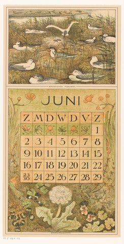 Calendar sheet June with brooding gulls, Theo van Hoytema, 1911 Canvas Print