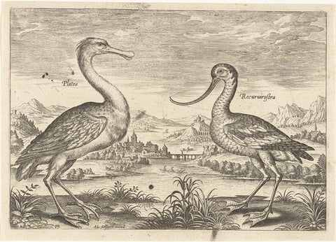 Two wading birds in a river landscape, Adriaen Collaert, 1598 - 1602 Canvas Print