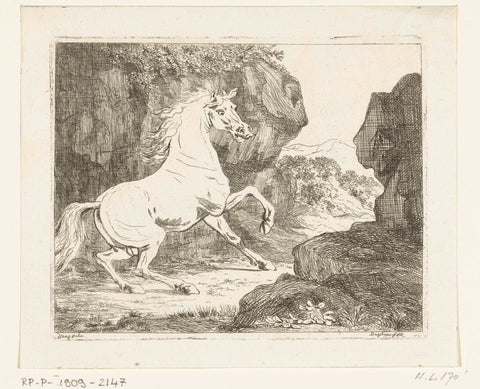 Bouncing white stallion, Ernst Willem Jan Bagelaar, 1798 - 1837 Canvas Print