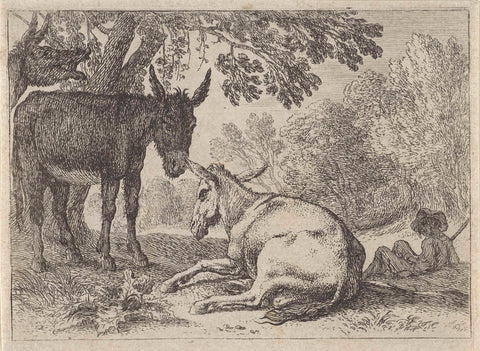 Donkeys, Herman van Swaneelt, 1636 - 1655 Canvas Print