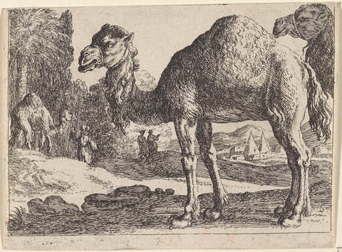 Camels, Herman van Swanevelt, 1636 - 1655 Canvas Print