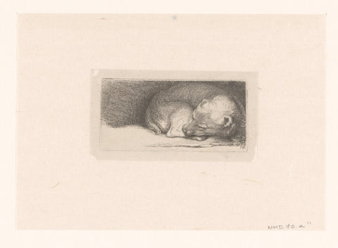 Sleaping puppy, Jacob Folkema, Rembrandt van Rijn, 1702 - 1767 Canvas Print