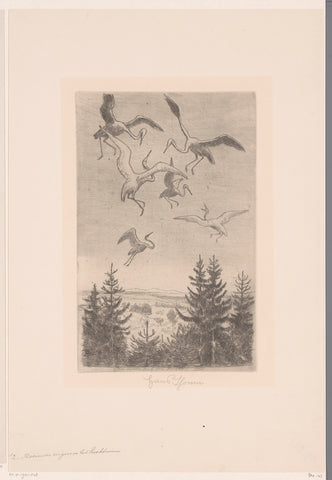 Flying herons, Hans Thoma, 1849 - 1924 Canvas Print