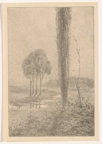 Landscape with trees and brook, Simon Moulijn, 1901 Canvas Print