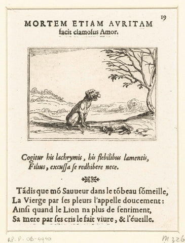 Een leeuwin brult bij haar levenloze welp, Jacques Callot, 1625 - 1629 Canvas Print