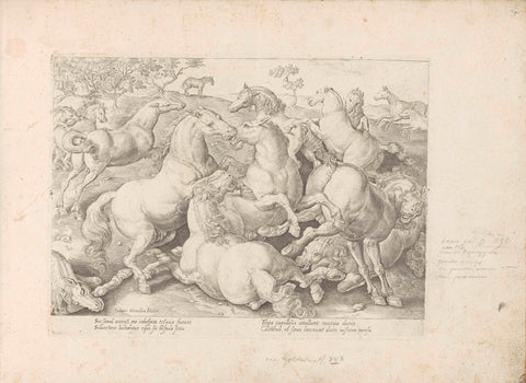 Fighting horses, anonymous, 1624 - before 1648 Canvas Print