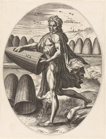 Aristaeus, Cornelis Cort, 1565 Canvas Print