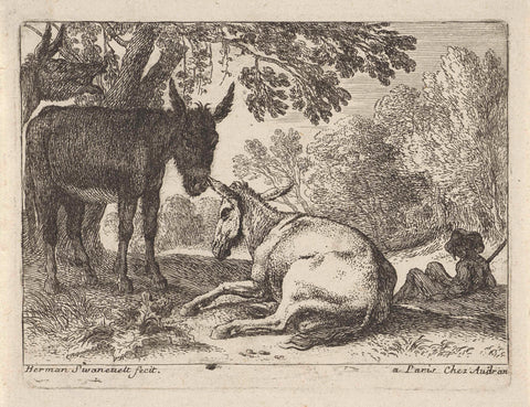 Donkeys, Herman van Swaneelt, 1643 - 1655 Canvas Print