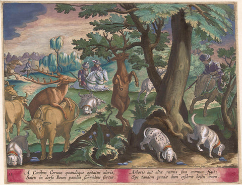 Deer hunting with dogs, Jan Collaert, 1634 Canvas Print