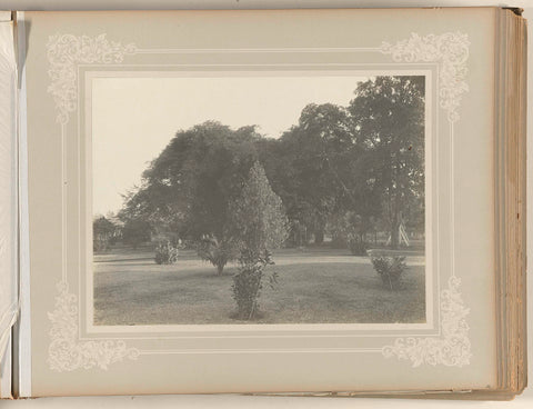 Garden with trees, O. Hisgen & Co. (possibly), 1890 - 1910 Canvas Print