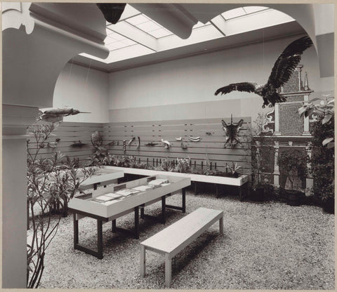 Reconstructed Ambulacrum of the Hortus with plants, stuffed animals, books in display cases and a bench for visitors, c. 1975 Canvas Print