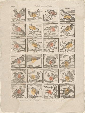 Various kinds of birds, Heirs the Widow Jacobus of Egmont, 1761 - 1804 Canvas Print