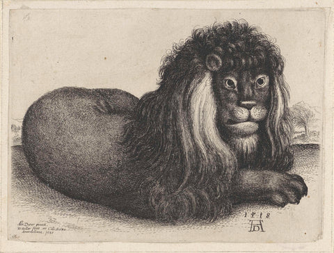 Liggende leeuw, Wenceslaus Hollar (attributed to workshop of), 1645 Canvas Print