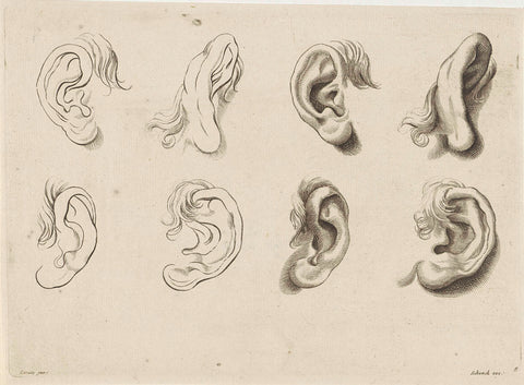 Study of different ears, anonymous, 1675 - 1711 Canvas Print