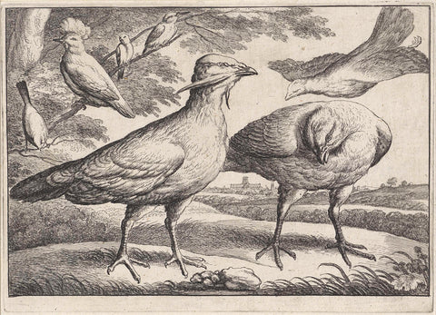 Stair geese and a cockatoo, Wenceslaus Hollar, 1654 Canvas Print