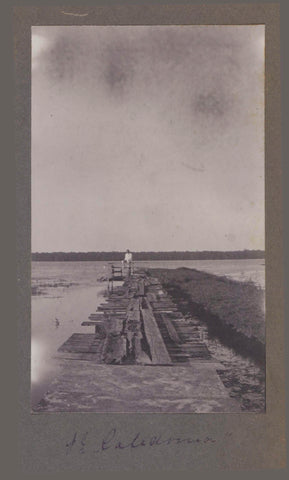 Jetty at Plantage Caledonia, anonymous, 1911 - 1912 Canvas Print