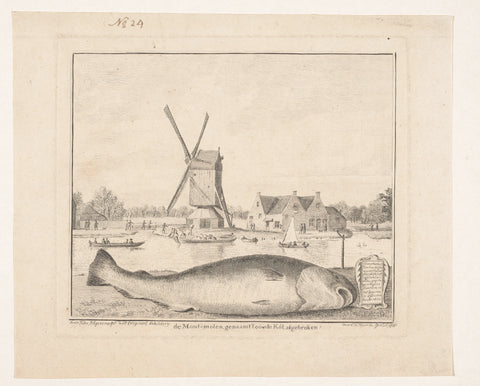 Large cod caught in the Spaarne, 1610, Cornelis van Noorde, 1760 Canvas Print