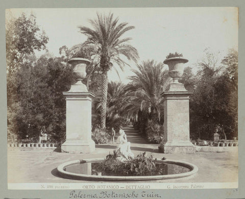 N. 198 Palermo, Botanical Garden - Detail, Giuseppe Incorpora, c. 1893 - c. 1903 Canvas Print