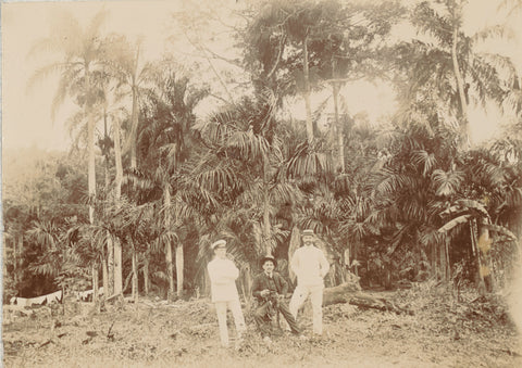 Gouvernementstuin, Andries Augustus Boom, 1908 Canvas Print