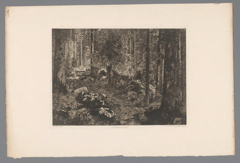 Boslandschap, Gaston Coindre, 1876 Canvas Print