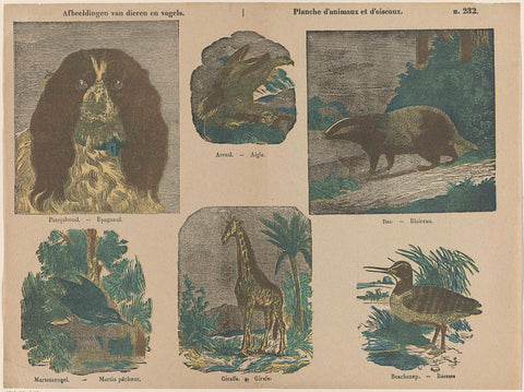 Images of animals and birds / Planche d'animaux et d'oiseaux, Deberny, 1833 - 1911 Canvas Print