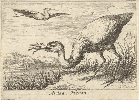 Heron with frog in the beath, Albert Flamen, 1659 Canvas Print