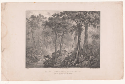 Flamingos in the rainforest near Mangaratiba on the Costa Verde, Alexis Victor Joly, c. 1831 - c. 1837 Canvas Print