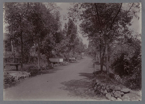 Road with trees, anonymous, c. 1900 - 1919 Canvas Print