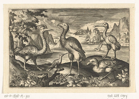 Five birds including spoonbill, Nicolaes de Bruyn, 1594 - 1644 Canvas Print