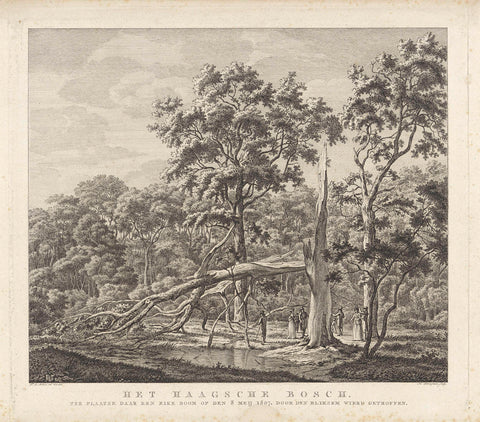 By the lightning split tree in the Haagse Bos, Hendrik Schwegman, 1807 Canvas Print